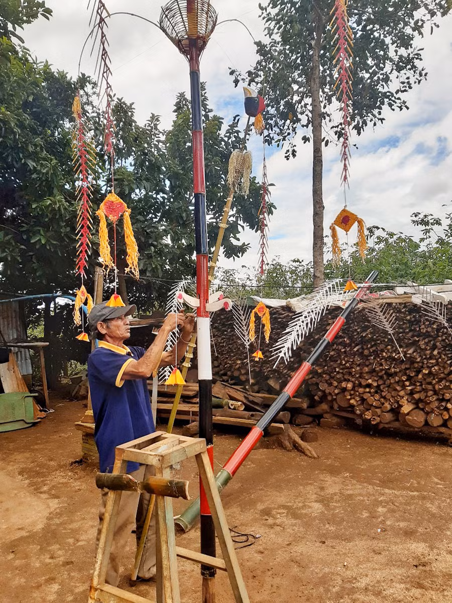 Già làng Amluih làm cây nêu truyền thống phục vụ cho lễ hội hoa dã quỳ-núi lửa Chư Đang Ya. Ảnh: Hoàng Ngọc