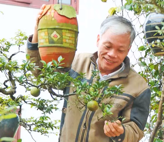 Ông Lê Thạnh bên cây bonsai mọc ngược của mình. Ảnh: NGỌC PHÚC