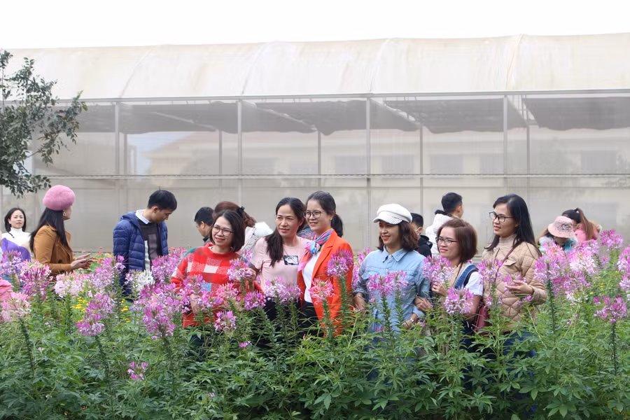 Nhiều du khách bị vườn hoa đang độ khoe sắc rực rỡ tại Công viên Đồng xanh thu hút. Ảnh Nguyễn Giang