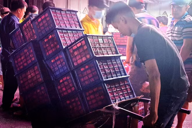 Một bốc xếp trẻ kéo khối hàng trái cây trên trăm ký