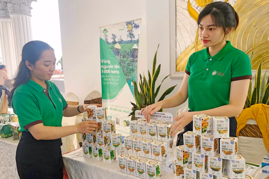Các mô hình, sản phẩm khởi nghiệp tiêu biểu được trưng bày tại Ngày hội khởi nghiệp tỉnh Gia Lai lần thứ I. Ảnh: Ngọc Thu Các mô hình, sản phẩm khởi nghiệp tiêu biểu được trưng bày tại Ngày hội khởi nghiệp tỉnh Gia Lai lần thứ I. Ảnh: Ngọc Thu