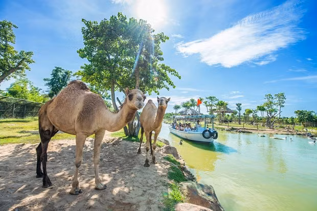 Sắc màu ở Nam Hội An. (Ảnh: CTV/Vietnam+)
