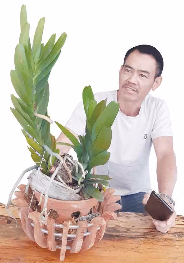 Anh Bùi Bình Sơn (thị trấn Đak Đoa) bên giò Hoàng Nhạn tháng 8. Ảnh: Duy Lê