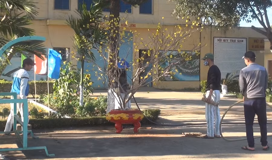 Các phạm nhân quây quần bên mâm cơm gồm bánh chưng, thịt đông, dưa hành, rau xanh và được tô điểm bằng cành đào, cành mai khoe sắc và những ánh đèn lấp lánh để chuẩn bị đón một cái Tết đang cận kề. (ảnh 1)