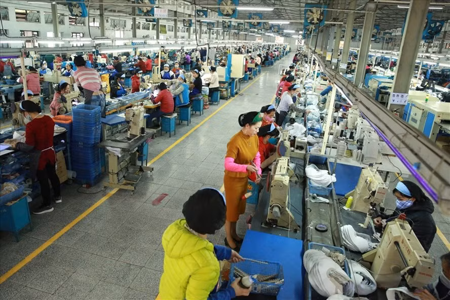 Bộ Lao động - Thương binh và Xã hội đang tổng hợp báo cáo lương, thưởng Tết của các địa phương. Ảnh minh hoạ: Hải Nguyễn