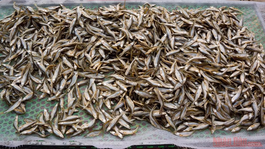 Những con cá nhỏ chỉ bằng ngón tay, được đánh bắt trực tiếp trên hồ rồi qua các công đoạn chế biến công phu của bà con nơi đây. Món cá nướng mộc mạc đã trở thành món quà quý níu chân du khách. Những con cá nhỏ chỉ bằng ngón tay, được đánh bắt trực tiếp trên hồ rồi qua các công đoạn chế biến công phu của bà con nơi đây. Món cá nướng mộc mạc đã trở thành món quà quý níu chân du khách.