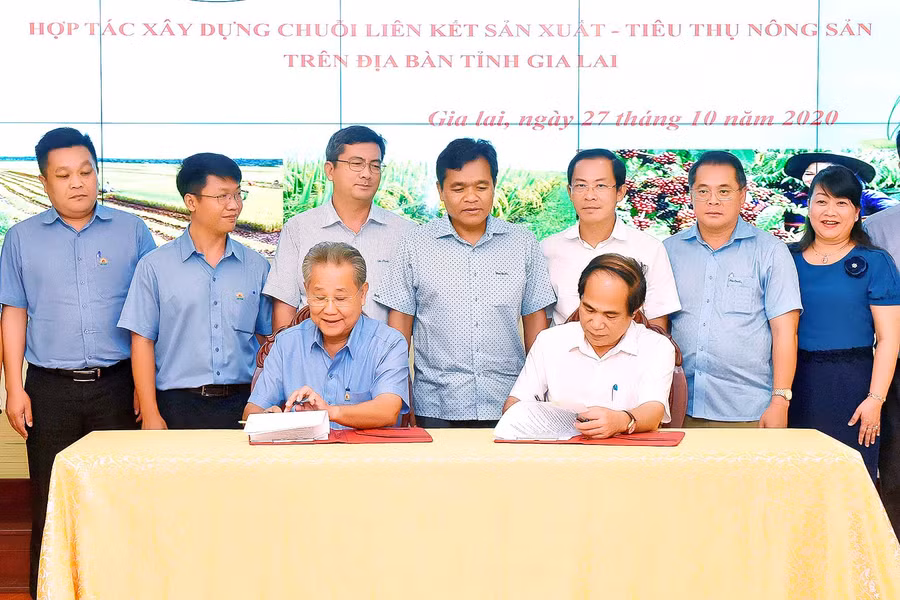 Lãnh đạo tỉnh Gia Lai và Tập đoàn Lộc Trời (tỉnh An Giang) ký kết bản ghi nhớ chương trình hợp tác xây dựng chuỗi liên kết sản xuất-tiêu thụ nông sản trên địa bàn tỉnh. Ảnh: Đức Thụy Lãnh đạo tỉnh và Tập đoàn Lộc Trời (tỉnh An Giang) ký kết bản ghi nhớ chương trình hợp tác xây dựng chuỗi liên kết sản xuất-tiêu thụ nông sản trên địa bàn tỉnh. Ảnh: Đức Thụy