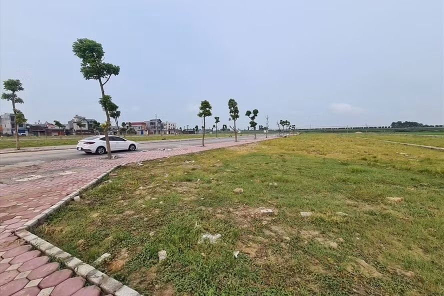 Bước sang năm 2021, nhiều bệ đỡ sẽ giúp phân khúc đất nền phát triển lành mạnh hơn. Ảnh: Anh Huy