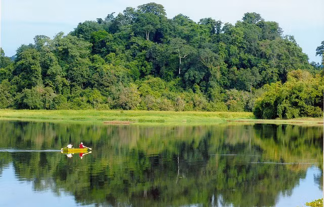 Vườn Quốc Gia Cát Tiên là một trong 6 khu dự trữ sinh quyển được UNESCO công nhận của Việt Nam. 4