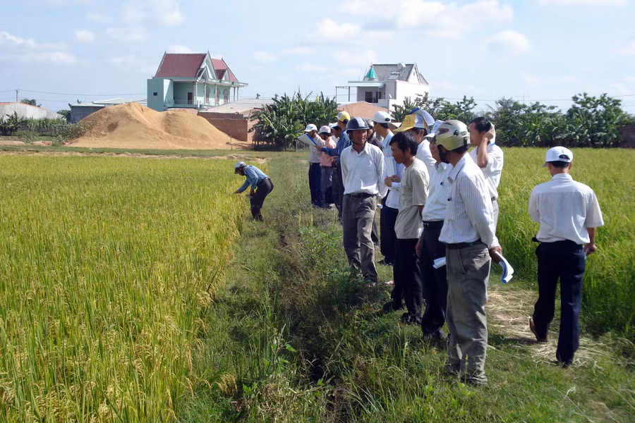 Ảnh: Nguyễn Diệp