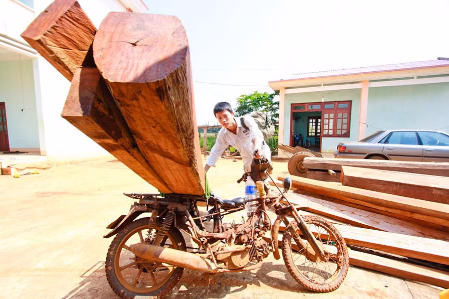 Nạn nhân tử vong do gỗ đè lên người gây chấn thương sọ não (ảnh minh họa).