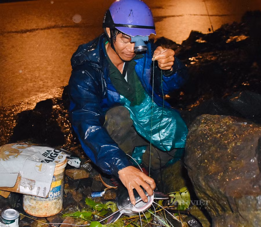  Theo các cần thủ, mồi câu cá lăng đuôi đỏ nhạy nhất là giun, nhìn lòng sông chỗ nào có hờm đá, nước cuộn thì ném mồi vào chắc chắn có cá lăng