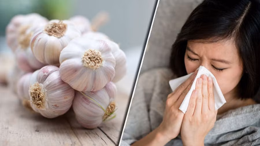 Tỏi giúp tăng cường hệ thống miễn dịch và giảm mức độ nghiêm trọng và kéo dài của các triệu chứng cảm lạnh và cúm. Ảnh: Shutterstock
