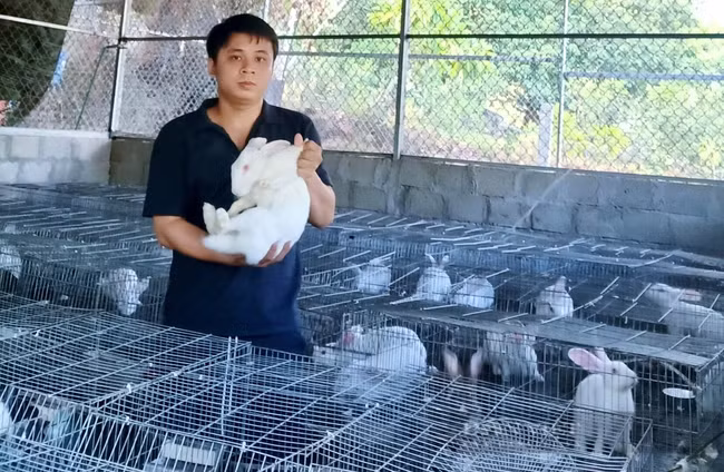 Anh Trương Phi Anh phát triển thành công mô hình nuôi thỏ với hiệu quả kinh tế cao. Ảnh: NVCC.