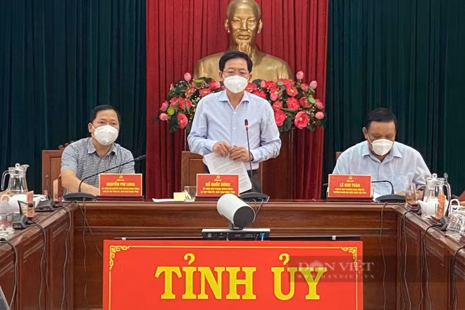Bí thư Tỉnh ủy Bình Định Hồ Quốc Dũng chỉ đạo quyết liệt, yêu cầu dồn toàn lực dập dịch tại 
