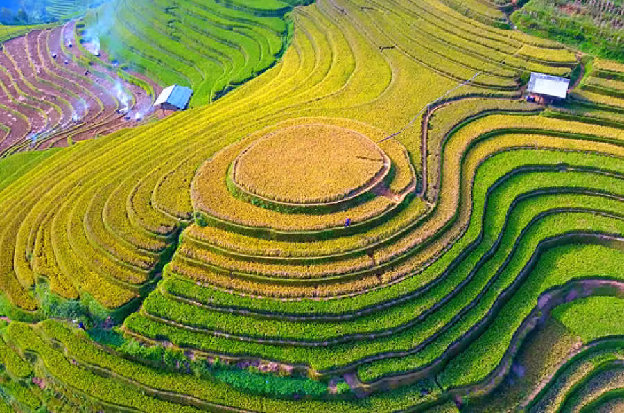 Đồi mâm xôi La Pán Tẩn dáng hình tròn đều và nhô cao trông gống như một mâm xôi đầy. Ảnh: vgcloud