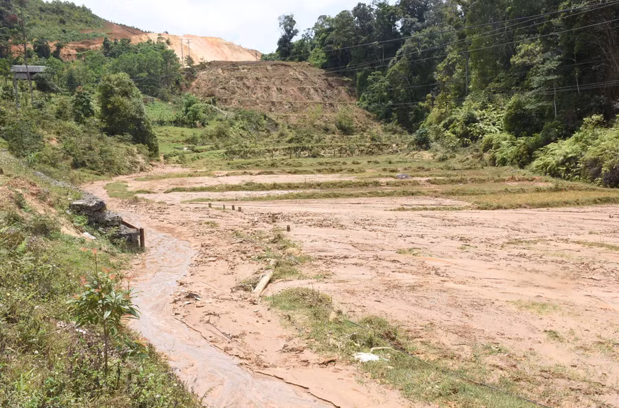 Nhiều diện tích ruộng, lớp đất đá phủ dày mặt ruộng đến 20 phân. Ảnh: PN