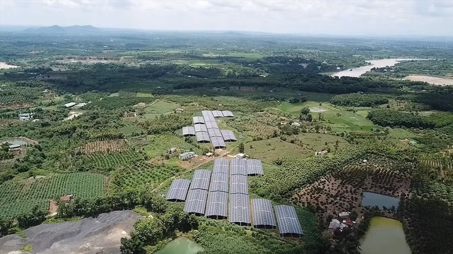  Chủ đầu tư điện năng lượng mặt trời mái nhà ở Miền Trung - Tây Nguyên phải làm đơn kêu cứu vì bị sa thải điện. Ảnh: PT