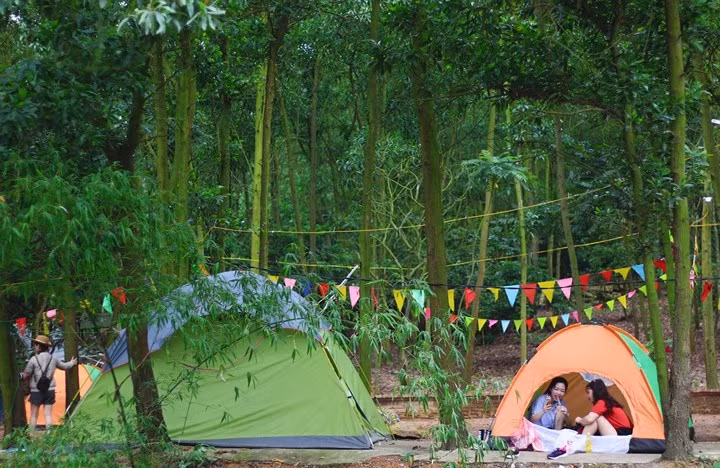  Và một điều thú vị khi tới My Hill là các bạn còn có thể ghé thăm một số địa điểm ngay gần My Hill như Phủ Thành Chương, núi Hàm Lợn, Đền Gióng...