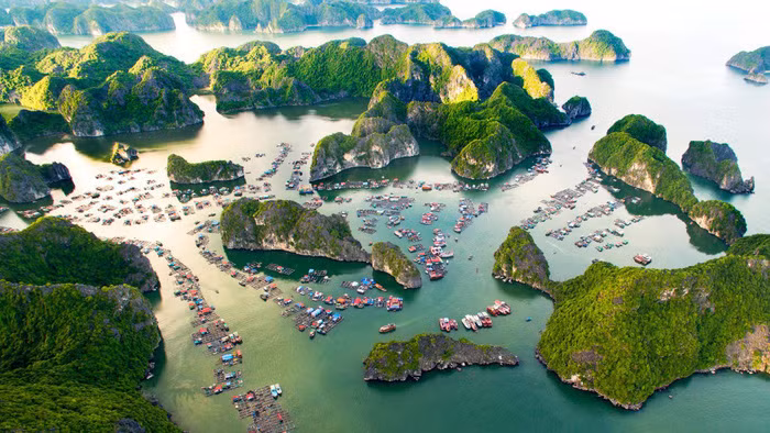  Ảnh: Vi Ngoc Minh Khue/Moment RF/Getty Images