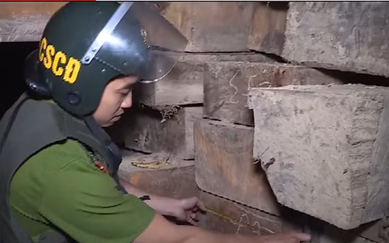 Vụ phá rừng ở Đắc Lắc vừa bị phát hiện 