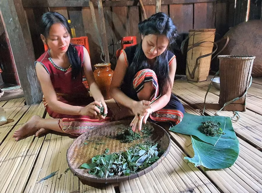 Chà xát lá mì để ủ chua. Ảnh: TT Chà xát lá mì để ủ chua. Ảnh: TT