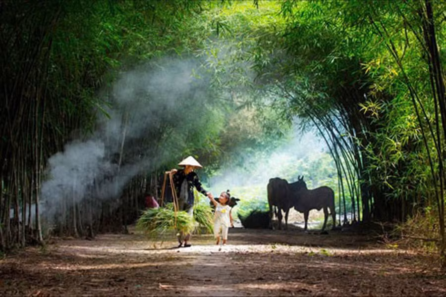 Ảnh minh họa