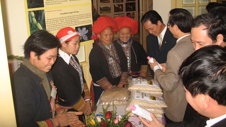 Bà Mẩy và anh Lở (bìa trái) trong buổi tiếp xúc với các nhà nghiên cứu thảo dược.