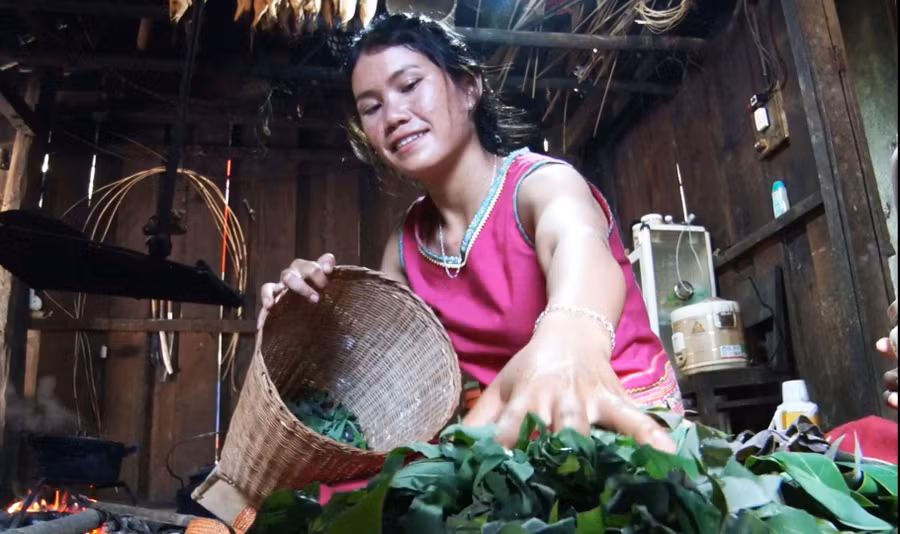 Các món ăn từ lá mì tuy dân dã, nhưng thơm ngon, khó quên. Ảnh: TT Các món ăn từ lá mì tuy dân dã, nhưng thơm ngon, khó quên. Ảnh: TT