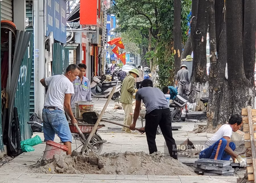 Tình trạng 
