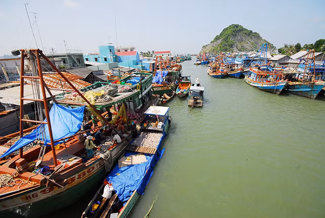 Ngư dân đánh bắt bền vững, bảo tồn nguồn lợi thủy sản sẽ giúp nghề cá ngày càng hiện đại, triệt tiêu khai thác IUU. Ảnh nguồn internet