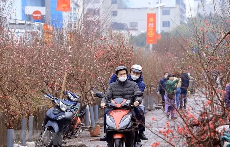  Chính phủ đã quyết định phương án nghỉ Tết Quý Mão năm 2023. (Ảnh minh hoạ: Tuấn Anh/TTXVN)