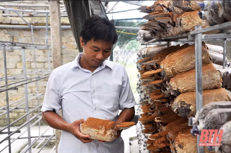 Chân dung Giám đốc HTX Nông sản Hữu cơ Trúc Phượng – Lê Đình Trúc.