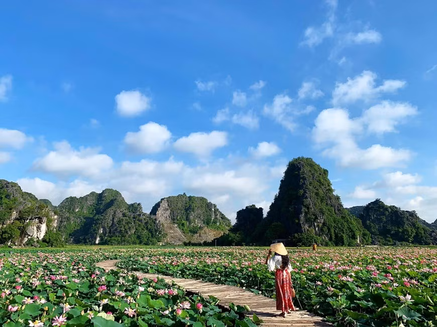 Cùng với tháp sống ảo, thác nước nhân tạo, vườn nấm khổng lồ... thì hồ sen Hang Múa đang trở thành những địa điểm sống ảo được giới trẻ yêu thích nhất khi tới Ninh Bình. (Ảnh: CTV/Vietnam+)