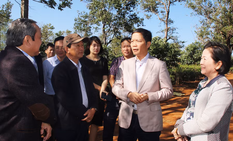 Bộ trưởng Bộ Công thương Trần Tuấn Anh (thứ 2 từ phải sang) đến thị sát tại dự án Nhà máy Điện gió Phát triển miền núi và Nhà máy Điện gió chế biến Tây Nguyên tháng 2-2020. Ảnh: K.L