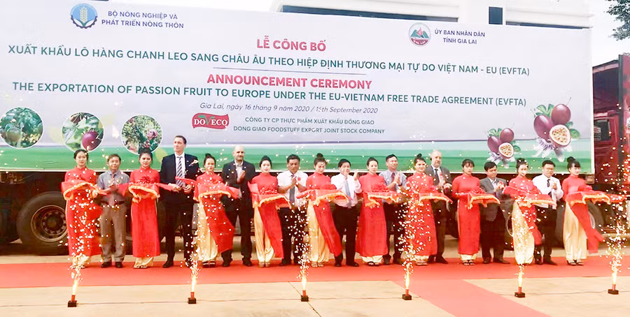 Lễ cắt băng công bố xuất khẩu lô hàng chanh dây sang thị trường châu Âu theo Hiệp định EVFTA. Ảnh: Vũ Thảo Lễ cắt băng công bố xuất khẩu lô hàng chanh dây sang thị trường châu Âu theo Hiệp định EVFTA. Ảnh: V.T