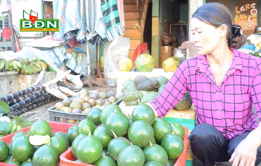 Nhiều tư thương ở chợ Gia Nghĩa (tỉnh Đắk Nông) có lượng bơ bán ra bằng 1/2 so với mọi năm
