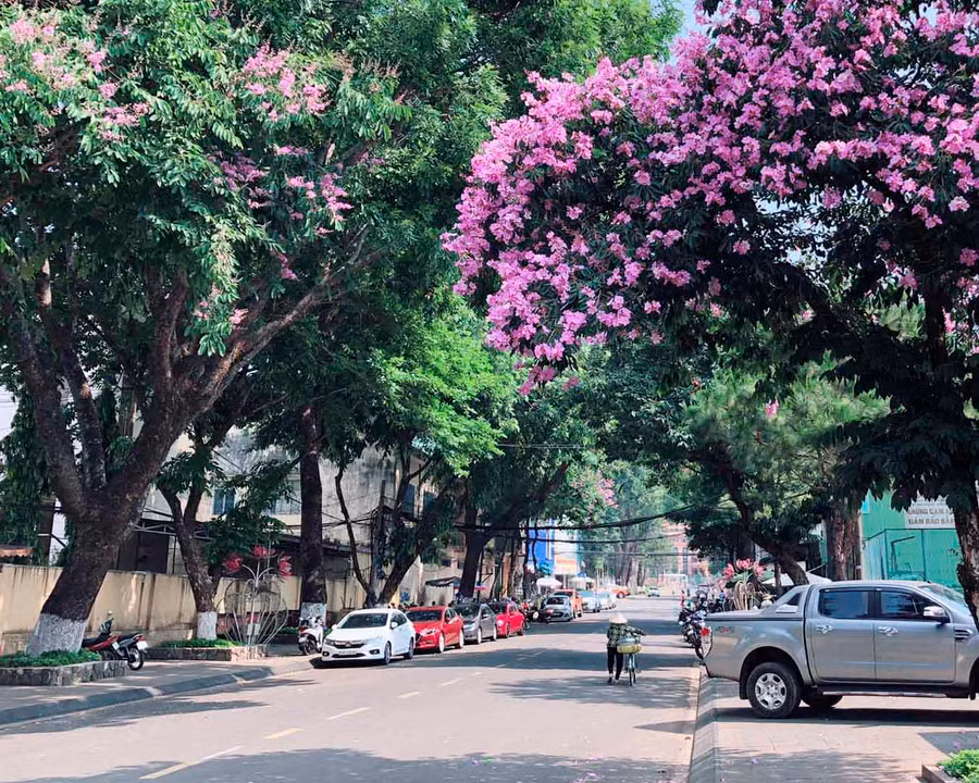 Đường Hoàng Hoa Thám (TP. Pleiku). Ảnh: INTERNET