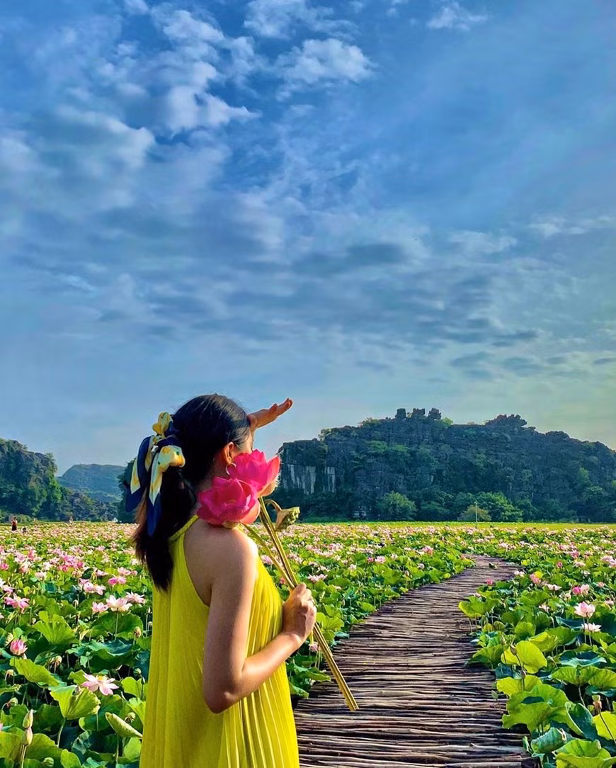 Chính vì thế, nơi đây trở thành địa điểm được nhiều người truyền tai nhau khi muốn chiêm ngưỡng hay chụp ảnh sen bất kể thời gian nào. (Ảnh: CTV/Vietnam+)