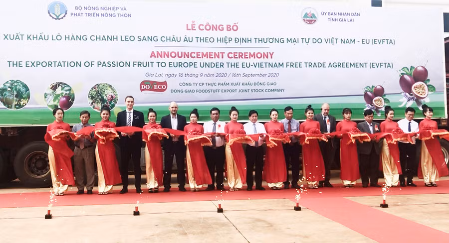 Lễ cắt băng công bố xuất khẩu lô hàng chanh leo đầu tiên sang Châu Âu theo Hiệp định EVFTA. Ảnh: Vũ Thảo