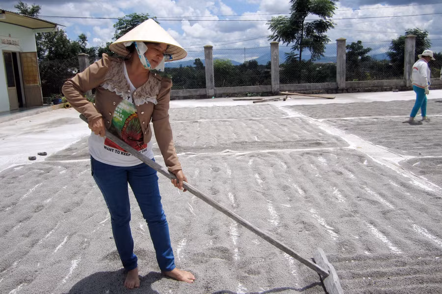 Chị Ánh đang phơi những cục đất đã qua sợ chế. Ảnh: Phương Dung