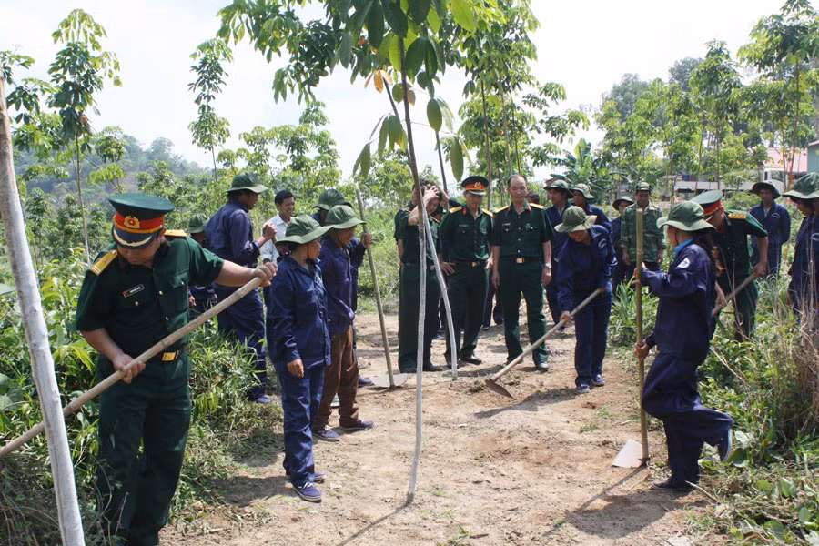 Công nhân mới đang được hướng dẫn kỹ thuật chăm sóc cao su. Ảnh: P.L