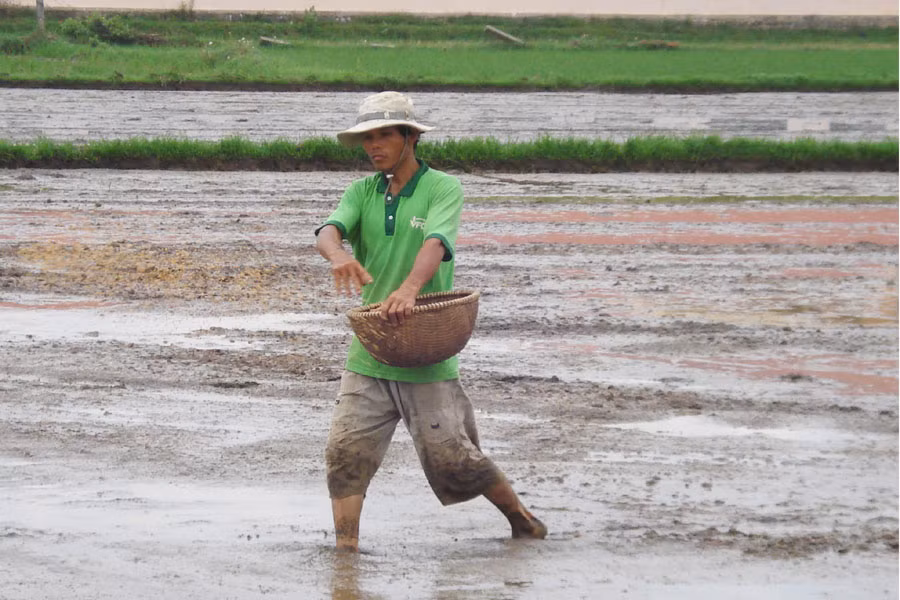 Ảnh: Nguyễn Diệp Ảnh: Nguyễn Diệp