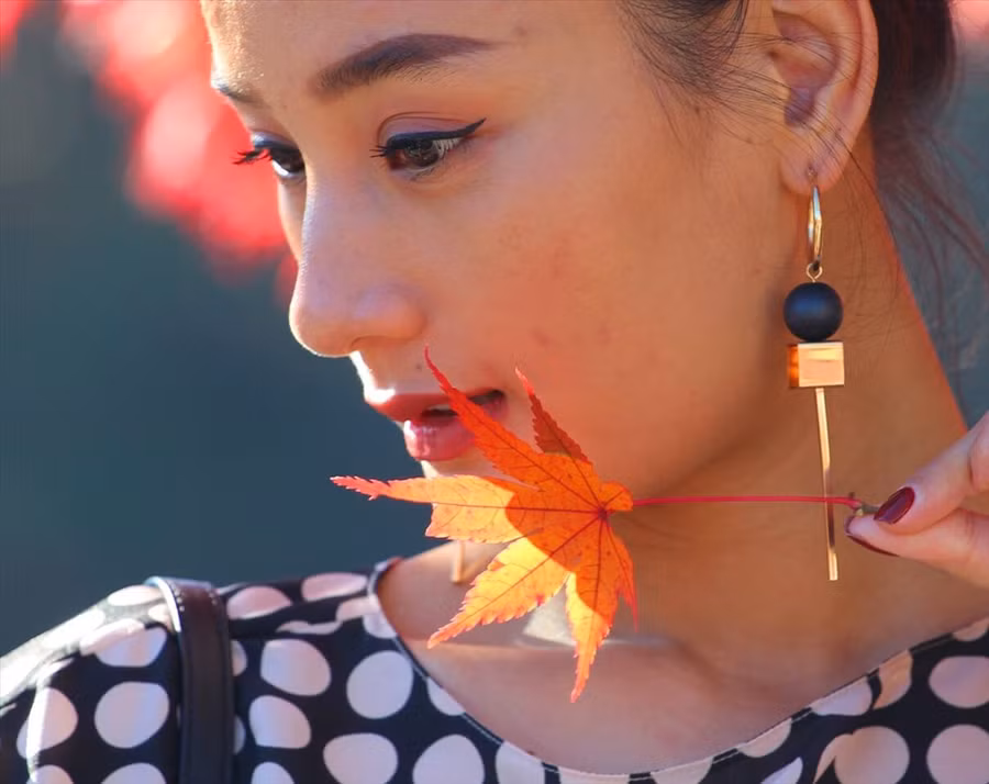 Nhiều du khách tìm đến Nhật du lịch, chỉ vì mê mải vẻ đẹp của những chiếc lá đỏ. Ảnh: Đ.D.H