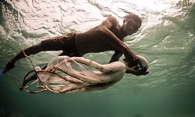 Người Bajau Laut ở Indonesia có khả năng lặn biển siêu đẳng. Người Bajau Laut ở Indonesia có khả năng lặn biển siêu đẳng.