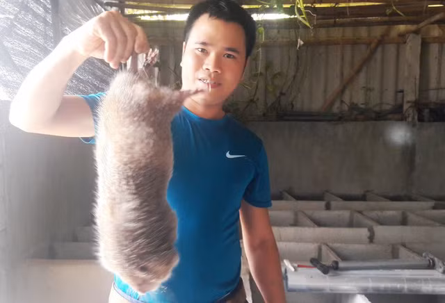  Tốt nghiệp đại học Giao thông vận tải, Lê Văn Lâm về quê làm nông nghiệp.