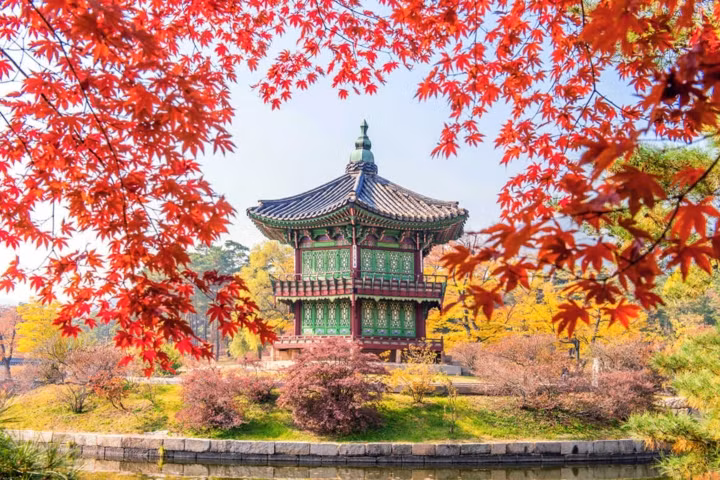 Hàn Quốc. Thời điểm tuyệt vời nhất để tham quan đất nước xinh đẹp này là tháng 4 (mùa hoa anh đào nở), tháng 5 (thời tiết dễ chịu) hoặc tháng 10 và tháng 11 (Hàn Quốc là đất nước có mùa thu đẹp nhất nhì châu Á). Tháng 12 và tháng 1 là thời điểm du lịch tồi nhất vì Hàn Quốc rất lạnh. Hàn Quốc. Thời điểm tuyệt vời nhất để tham quan đất nước xinh đẹp này là tháng 4 (mùa hoa anh đào nở), tháng 5 (thời tiết dễ chịu) hoặc tháng 10 và tháng 11 (Hàn Quốc là đất nước có mùa thu đẹp nhất nhì châu Á). Tháng 12 và tháng 1 là thời điểm du lịch tồi nhất vì Hàn Quốc rất lạnh.