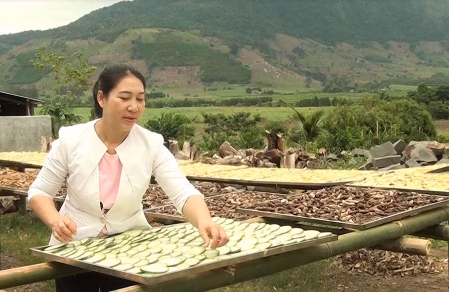  Chị Nguyễn Thị Thanh Hương bên một mẻ nguyên liệu. Ảnh: Hà Duyệt