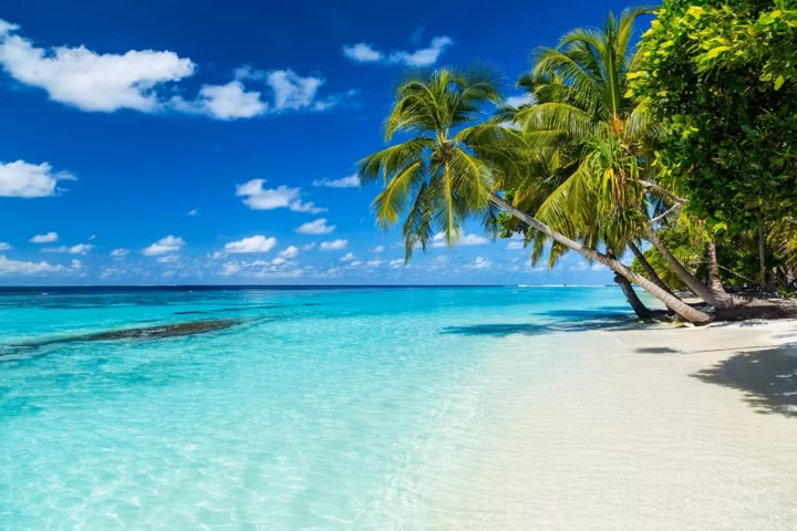 Maldives. Thời điểm lý tưởng nhất để du lịch tại quốc đảo này là từ tháng 1 - tháng 4. Trong khi đó, từ tháng 6 đến tháng 10 là mùa mưa nên ít khách du lịch. Maldives. Thời điểm lý tưởng nhất để du lịch tại quốc đảo này là từ tháng 1 - tháng 4. Trong khi đó, từ tháng 6 đến tháng 10 là mùa mưa nên ít khách du lịch.