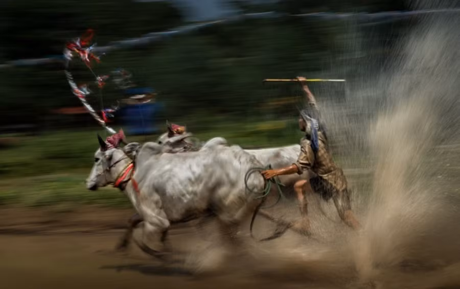 Giải thưởng nhiếp ảnh Heritage - Hành trình di sản 2018' thu hút sự tham gia của nhiều tay máy ở cả trong nước và nước ngoài. 'Về đích' (tác giả Nguyễn Ngọc Hòa) ghi lại khoảnh khắc ấn tượng tại lễ hội đua bò của đồng bào Khmer. (Nguồn ảnh: BTC)